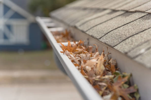 Local Gutter Cleaning Service Indianapolis Residents Trust
