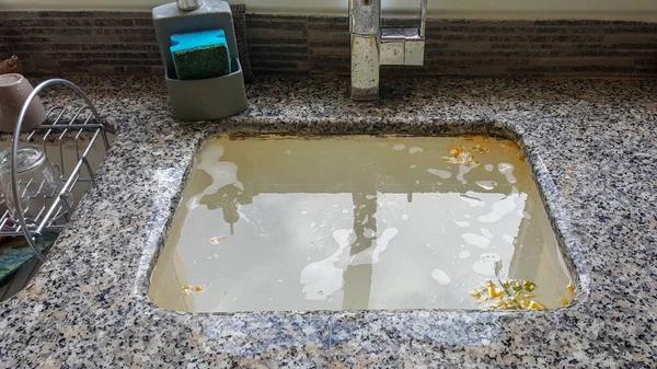 Avoid Drain Disasters Why Homeowners Need Pro Drain Experts