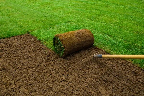 Upgrade Your Backyard with Professional Landscaping Service in Omaha